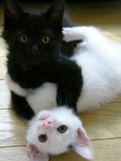 Other Wallpapers 0705